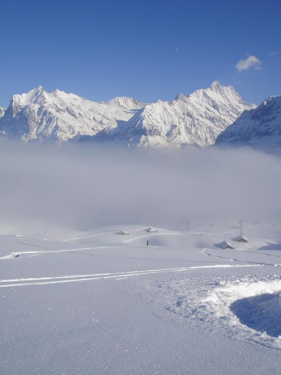 Ferienwohnung Chalet Asterix Grindelwald Exterior foto