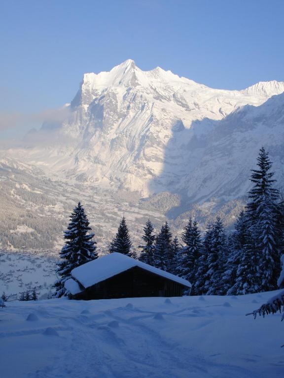 Ferienwohnung Chalet Asterix Grindelwald Exterior foto