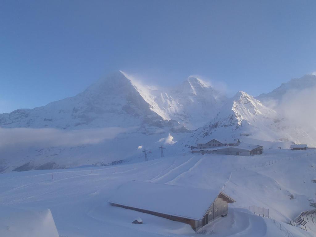 Ferienwohnung Chalet Asterix Grindelwald Exterior foto