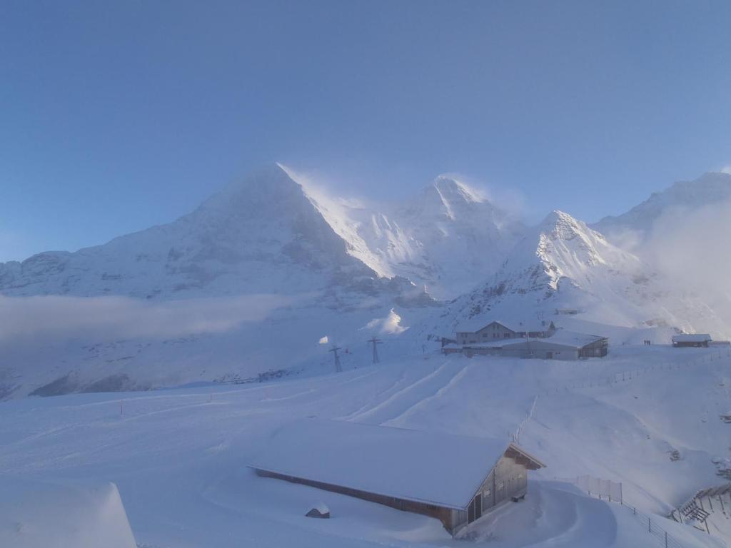 Chalet Asterix Grindelwald Exterior foto