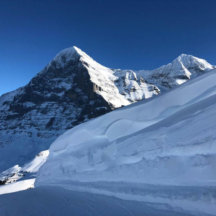 Ferienwohnung Chalet Asterix Grindelwald Exterior foto